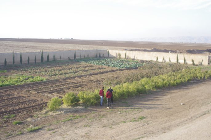 Garten des Kinderhauses 